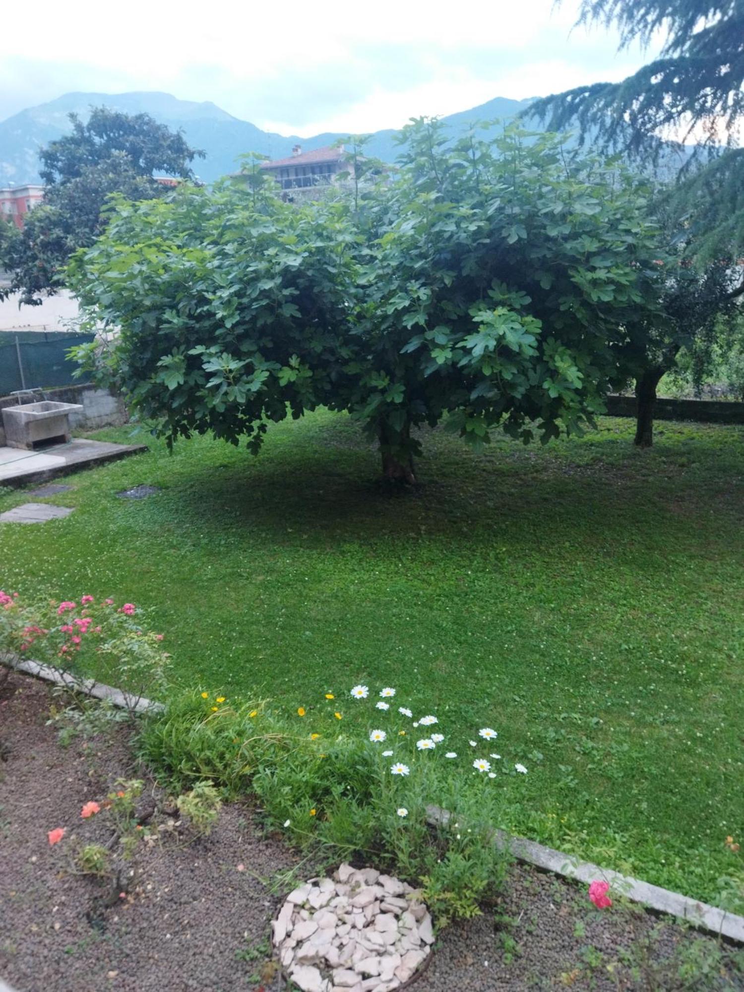 Apartamento Rose Garden House Wi-Fi Riva del Garda Exterior foto